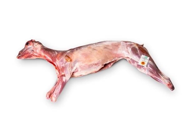 Cabrito Inteiro - Cabrito Transmontano DOP