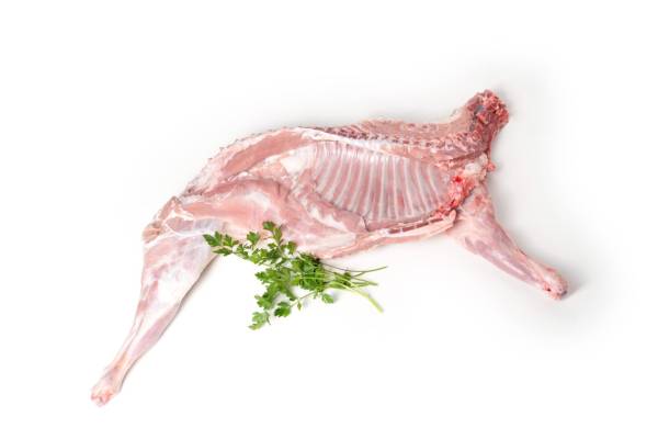 Meio Cabrito - Cabrito Transmontano DOP